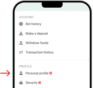How to Verify Your BetWinner Account